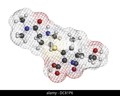 Méropénem antibiotique à large spectre (classe des carbapénèmes), la structure chimique des atomes sont représentés comme des sphères. Banque D'Images