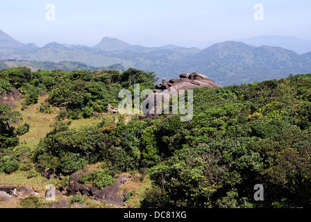 La vallée de la forêt tropicale et les montagnes accidentées Western Ghats Kerala Inde Agasthyarkoodam de Vue Banque D'Images