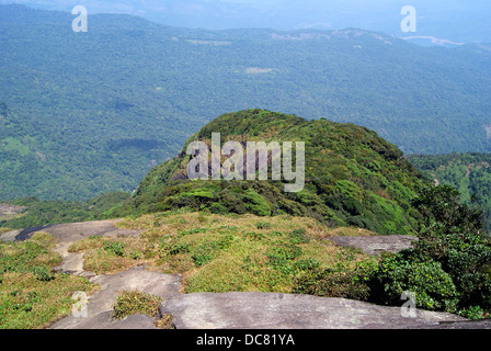 Large Vue aérienne de la forêt tropicale montagneuse des Ghâts occidentaux dans le Kerala Inde du Sud à partir de la crête de montagne haut Agastyarkoodam Banque D'Images