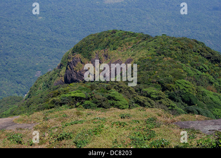 Vue de dessus du Western Ghats collines et vallées de la forêt de montagne Kerala Inde Agastyarkoodam Banque D'Images