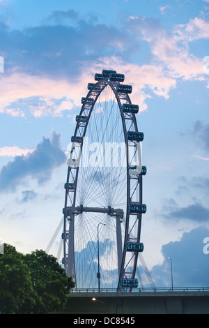 Singapore Flyer - la plus grande grande roue du monde Banque D'Images