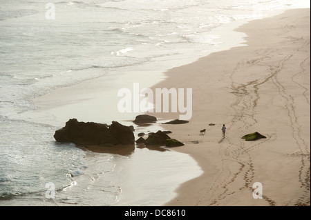 Jogger avec chien sur la plage, Brenton-on-Sea, près de Knysna, Western Cape, Afrique du Sud Banque D'Images