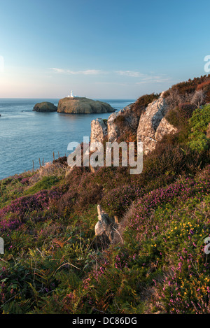 Strumble Head, vu depuis le chemin côtier de Pembroke, Nouvelle-Galles du Sud, une marche populaire auprès des randonneurs et des touristes Banque D'Images