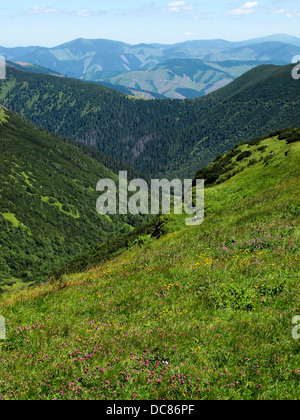 Vue de Liptov de Basses Tatras Slovaquie paysage de montagne en été juillet Green Hills Banque D'Images