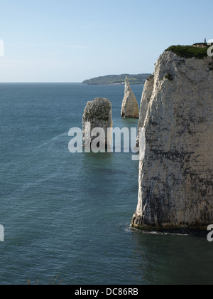 Vue le long des falaises de Old Harry Rocks - Dorset Coast Banque D'Images