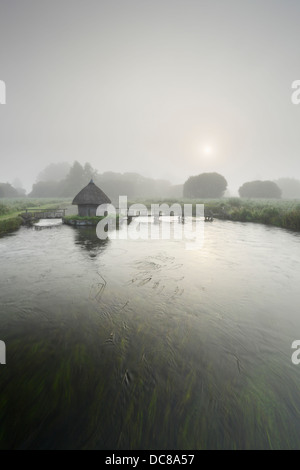 Cabane de pêcheur et les pièges de l'anguille de l'autre côté de la rivière Test sur l'Estate Leckford à Longstock. Le Hampshire. L'Angleterre. UK. Banque D'Images