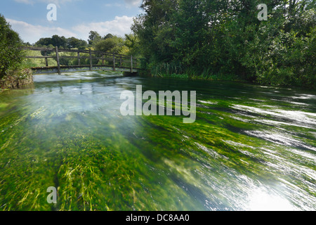 Passerelle au-dessus de la rivière à Itchen Ovington. Le Hampshire. L'Angleterre. UK. Banque D'Images