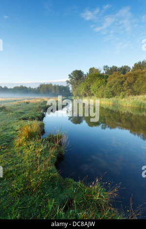 Marshcourt, un affluent de la rivière Test au marais commun (National Trust) près de Stockbridge. Le Hampshire. L'Angleterre. UK. Banque D'Images