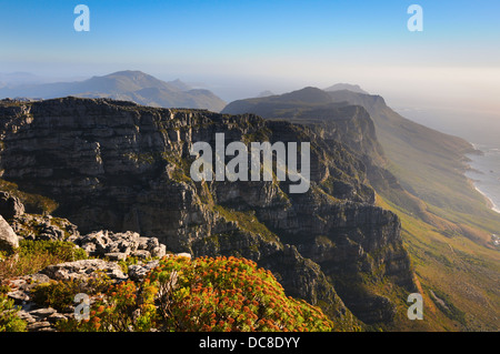 Vue du littoral de l'océan sur la haute montagne avec des plantes à l'avant Banque D'Images