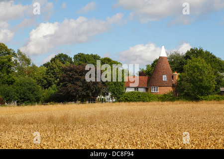 Temps de récolte est Sussex Angleterre Angleterre Royaume-Uni. Champ de blé et maison Oast. Banque D'Images