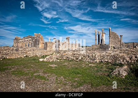 Site archéologique, vestiges romains, Volubilis. Maroc Banque D'Images