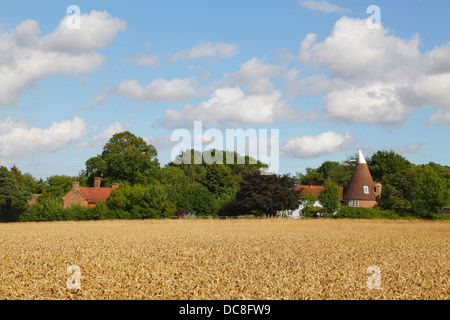 Temps de récolte est Sussex Angleterre Royaume-Uni, champ de blé et maison Oast. Banque D'Images