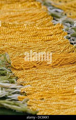 L'Équateur, Quito, Otavalo marché. Colliers en perles d'or traditionnel porté par les femmes locales highland. Banque D'Images