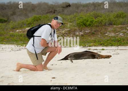 L'Equateur, Galapagos, l'île d'Espanola (aka Hood Island), Gardner Bay. Touriste avec lion de mer Galapagos (Zalophus wollebacki). (MR) Banque D'Images