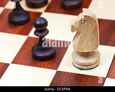 Chevalier en bois blanc sur l'échiquier, Close up Banque D'Images