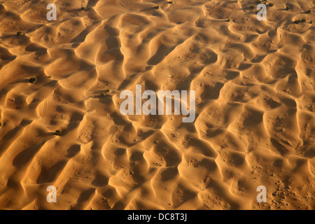 Dune de sable dans le désert d'Arabie, Dubaï, Émirats Arabes Unis Banque D'Images