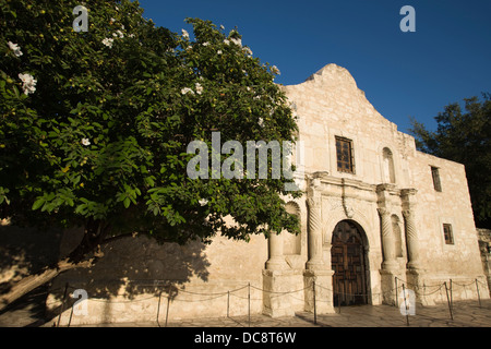 ALAMO MISSION SAN ANTONIO DE VALERO ALAMO PLAZA CENTRE-VILLE DE SAN ANTONIO, TEXAS USA Banque D'Images