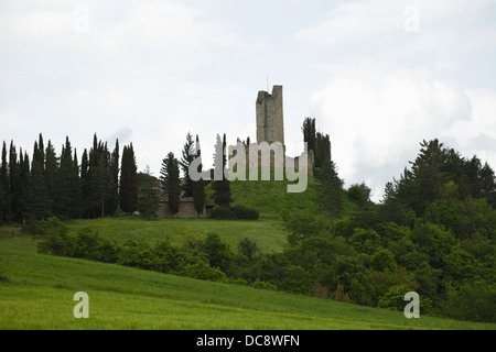 Cyprès dans la campagne toscane, le château de Romena, Casentino, Toscane Banque D'Images