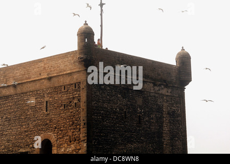 Tour de la forteresse à Essaouira, Maroc avec les mouettes dans la tempête Banque D'Images