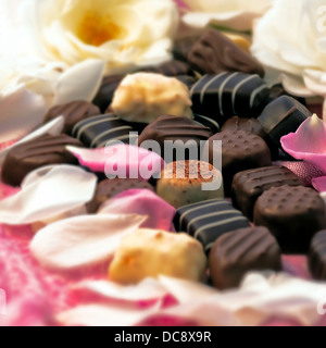 Truffes au chocolat et des pétales de rose Banque D'Images