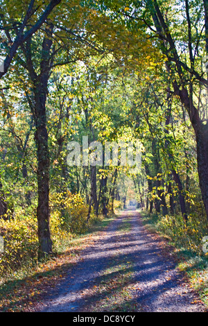 Remorquage de gravier d'automne chemin menant la serrure 60 le long du Canal Chesapeake Ohio National Historical Park Allegany Comté Maryland Banque D'Images