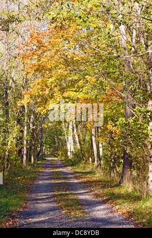 Remorquage de gravier d'automne chemin menant la serrure 60 le long du Canal Chesapeake Ohio National Historical Park Allegany Comté Maryland Banque D'Images