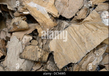 Carton des déchets et du papier dans une usine de recyclage dans les West Midlands, Angleterre, RU Banque D'Images