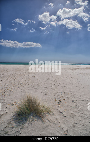 La plage de la Cinta près de San Teodoro, Sardaigne Banque D'Images