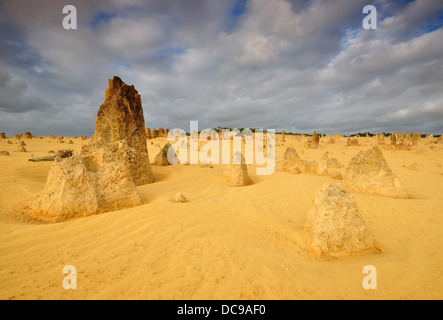 Le Désert des Pinnacles en Australie occidentale Banque D'Images