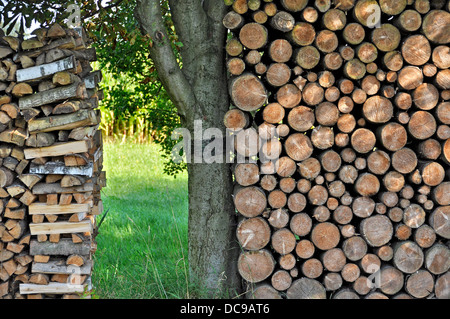 Pile de grumes en bois, bois de chauffage Banque D'Images