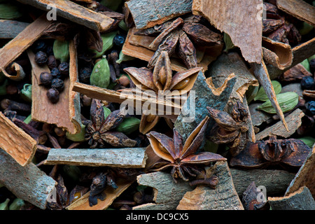 Différentes épices, girofle, cannelle, cardamome, poivre, l'anis étoilé Banque D'Images