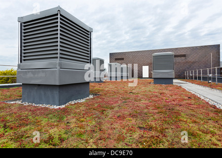 Monodraught louvre ventilation et Sedum engrais verts sur toit Ealing Notting Hill High School. Banque D'Images