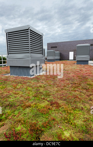 Monodraught louvre ventilation et Sedum engrais verts sur toit Ealing Notting Hill High School Banque D'Images