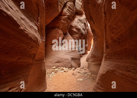 Photographe à l'intérieur du ravin de daim canyon fente, Kanab, Utah Banque D'Images