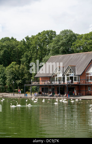 Llandrindod Wells lake cygnes et canards et restaurant lakeside building, Powys Pays de Galles au Royaume-Uni. Banque D'Images