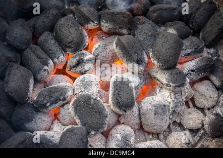 Des charbons ardents, prêt pour la cuisson au barbecue, à New York, le samedi, 3 août 2013. (© Richard B. Levine) Banque D'Images