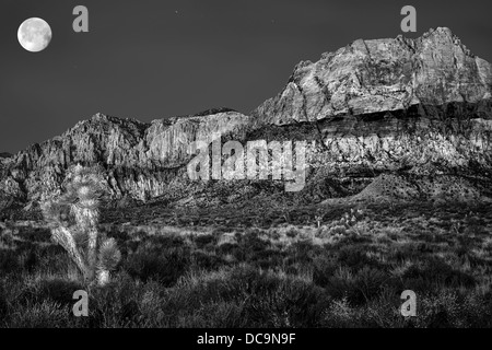 Des montagnes du désert Monochrome et Joshua trees sous une pleine lune Banque D'Images