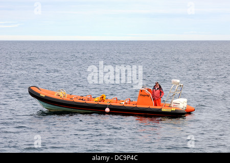 Un RHIB se trouve dans les eaux de l'estuaire de la Forth, Ecosse, Royaume-Uni Banque D'Images