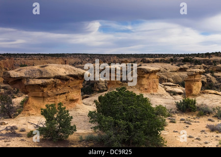 Window Rock, Arizona, USA. Capitale de la Nation Navajo. Banque D'Images