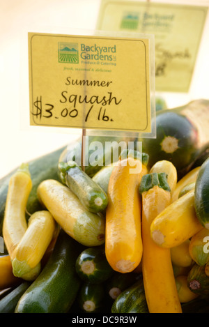 Les courges d'été sur l'affichage à un vendeur,s stand lors de l'Walllowa County Farmers Market, de l'Oregon. Banque D'Images