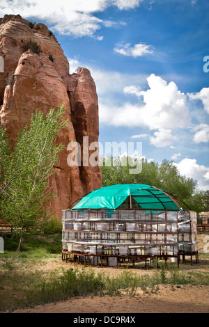 Window Rock, Arizona, USA. Capitale de la Nation Navajo. Navajo Nation zoo. Banque D'Images