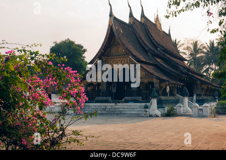 Elk209-1297 Laos, Luang Prabang, Wat Xieng Thong, sim Banque D'Images