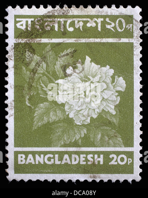 BANGLADESH - circa 1970 : timbres en Bangladesh montre fleur, vers 1970 Banque D'Images