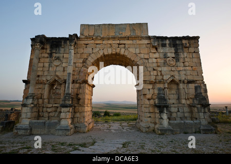 Ruines romaines au coucher du soleil au partiellement fouillé ville romaine de Volubilis, près de Meknes, Maroc. Banque D'Images
