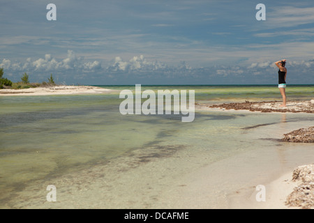 Zone de mangrove à l'extrémité nord de l'Isla Cozumel. (MR) Banque D'Images