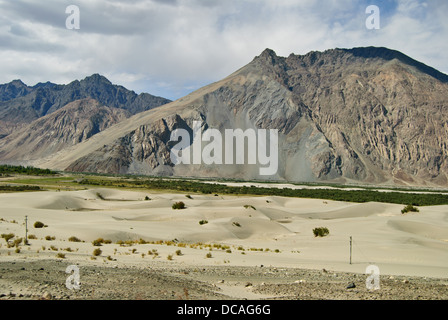 La dune de sable de la vallée de Nubra Banque D'Images