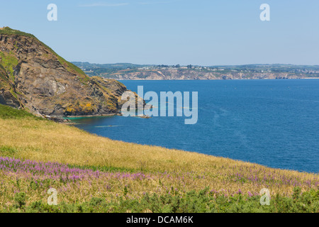 La baie de St Austell Cornwall du tête noire pointe près de Trenarren entre et Pentewan Porthpean près de St Austell Cornwall Angleterre Banque D'Images