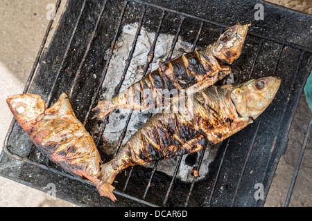 Poisson grillé sur charbon de bois, de l'alimentation de rue, l'île de Gorée, au Sénégal. Banque D'Images