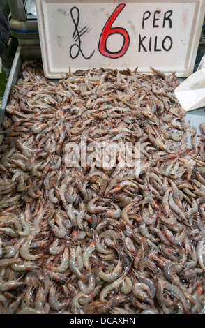 Crevettes pour le marché aux poissons de Billingsgate, Isle of Dogs, London, England, UK Banque D'Images