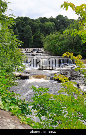 Aysgarth Falls supérieur,Wensleydale, Yorkshire du Nord, Yorkshire Dales National Park, England, UK. Banque D'Images